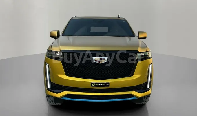 carsDetail