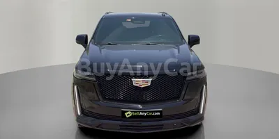 carsDetail