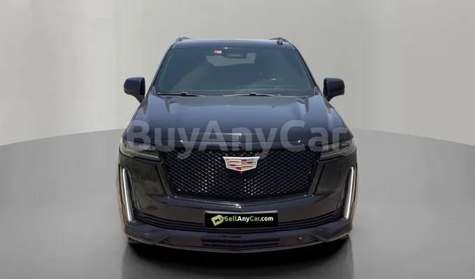 carsDetail