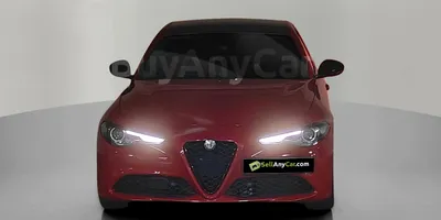 carsDetail