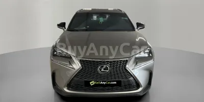 carsDetail
