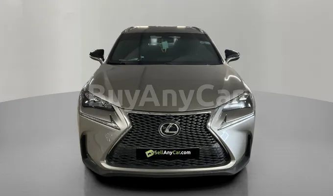 carsDetail