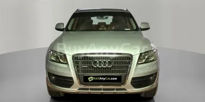 carsDetail