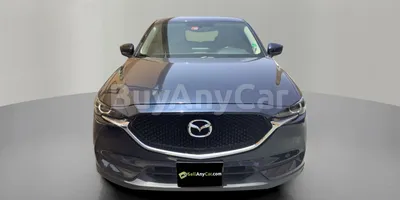 carsDetail