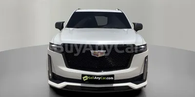 carsDetail