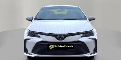 carsDetail