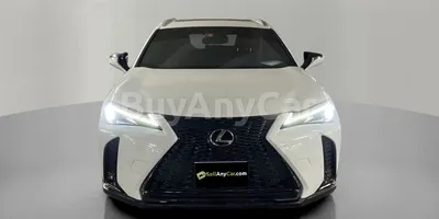 carsDetail