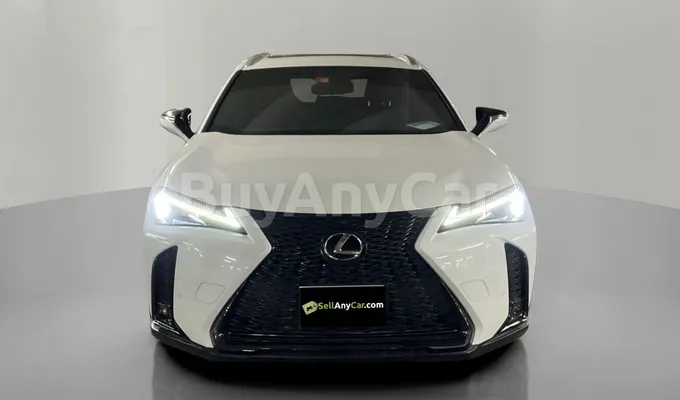 carsDetail