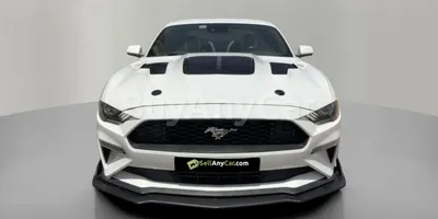 carsDetail