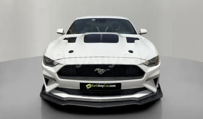 carsDetail