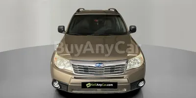 carsDetail