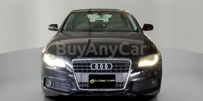 carsDetail