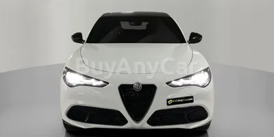 carsDetail