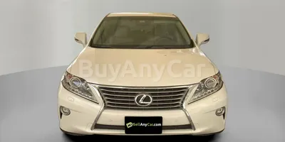 carsDetail