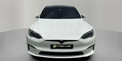 carsDetail