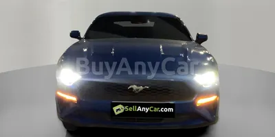 carsDetail