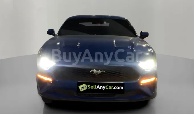 carsDetail