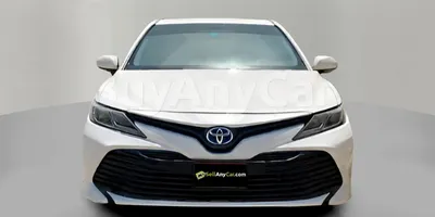 carsDetail