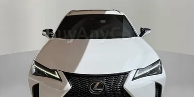 carsDetail