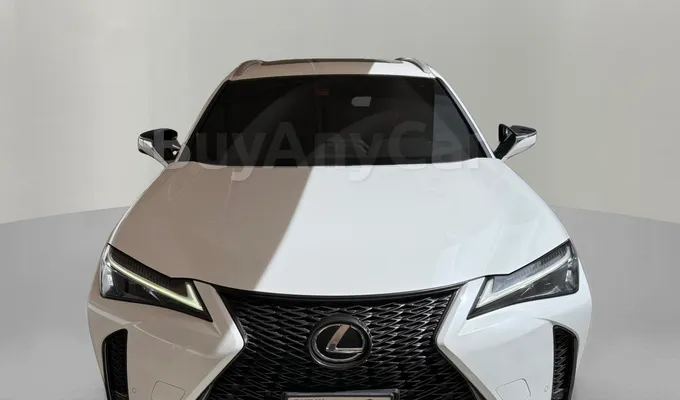carsDetail