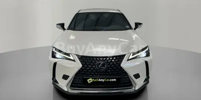 carsDetail