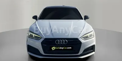 carsDetail