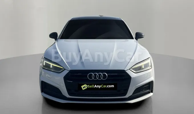 carsDetail
