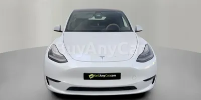 carsDetail