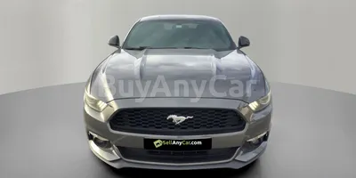 carsDetail