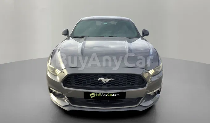 carsDetail