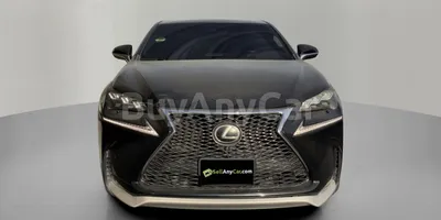 carsDetail