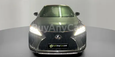 carsDetail