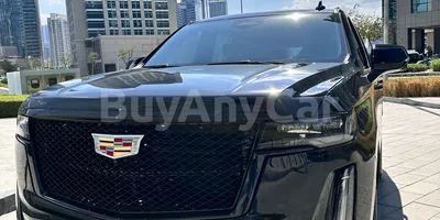 carsDetail