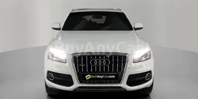 carsDetail