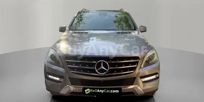 carsDetail