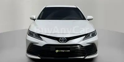 carsDetail