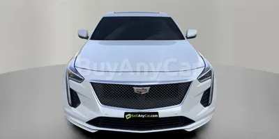 carsDetail