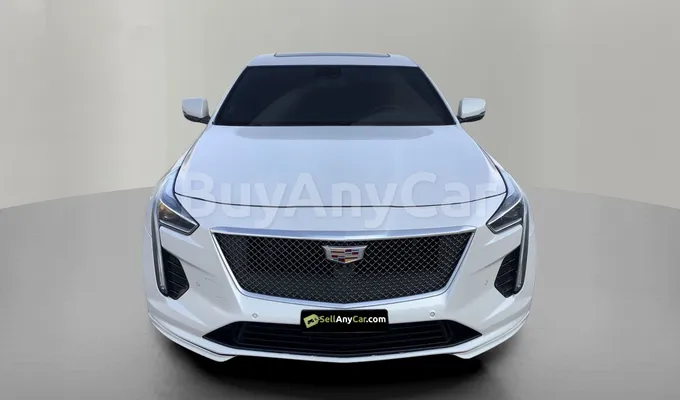 carsDetail