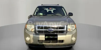 carsDetail