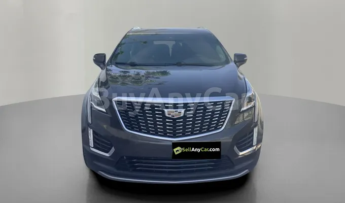 carsDetail