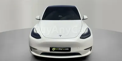 carsDetail