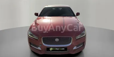 carsDetail