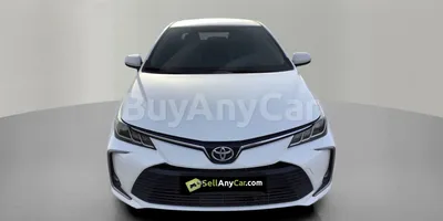 carsDetail