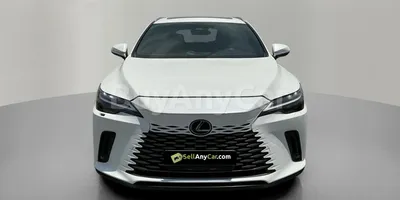 carsDetail