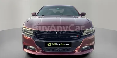 carsDetail