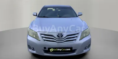 carsDetail