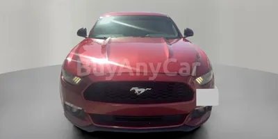 carsDetail