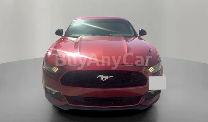 carsDetail