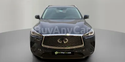 carsDetail