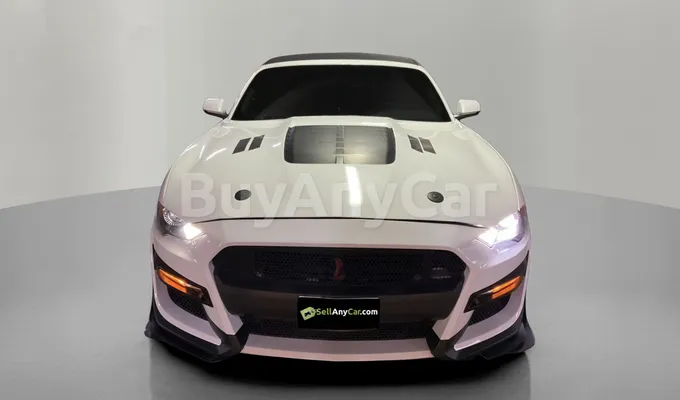 carsDetail